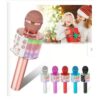 Microfono Karaoke - Multi-Voice Microphone